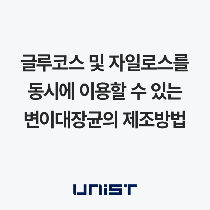 글루코스 및 자일로스를 동시에 이용할 수 있는 변이대장균의 제조방법