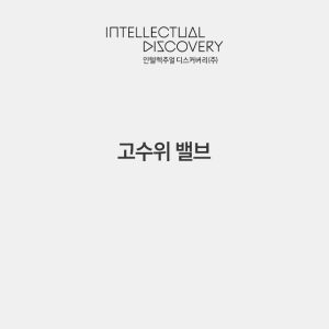 고수위 밸브