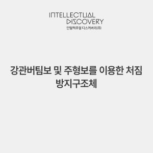 강관버팀보 및 주형보를 이용한 처짐 방지구조체
