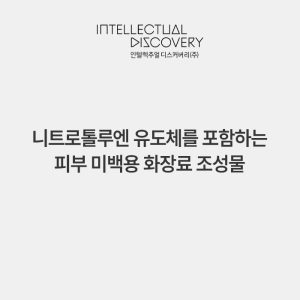 니트로톨루엔 유도체를 포함하는 피부 미백용 화장료 조성물