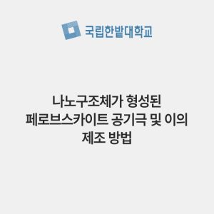 나노구조체가 형성된 페로브스카이트 공기극 및 이의 제조 방법