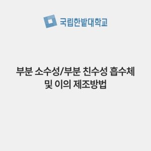 부분 소수성/부분 친수성 흡수체 및 이의 제조방법