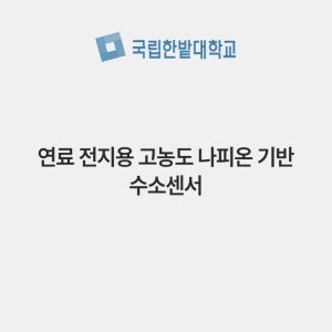연료 전지용 고농도 나피온 기반 수소센서