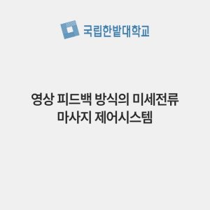 영상 피드백 방식의 미세전류 마사지 제어시스템