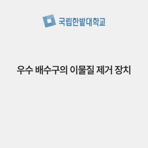 우수 배수구의 이물질 제거 장치