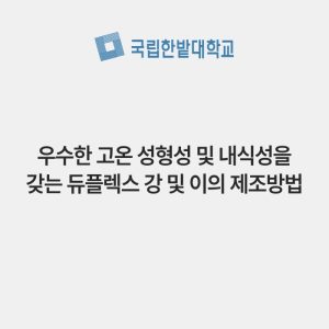 우수한 고온 성형성 및 내식성을 갖는 듀플렉스 강 및 이의 제조방법