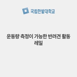 운동량 측정이 가능한 반려견 활동 레일