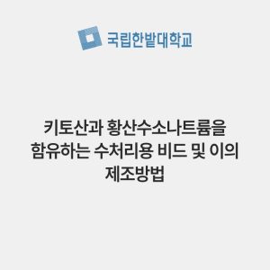 키토산과 황산수소나트륨을 함유하는 수처리용 비드 및 이의 제조방법