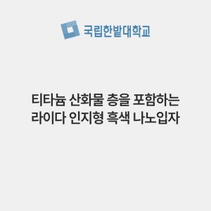 티타늄 산화물 층을 포함하는 라이다 인지형 흑색 나노입자