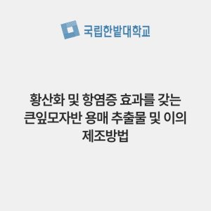 황산화 및 항염증 효과를 갖는 큰잎모자반 용매 추출물 및 이의 제조방법