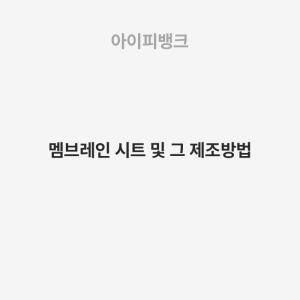 멤브레인 시트 및 그 제조방법