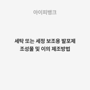 세탁 또는 세정 보조용 발포제 조성물 및 이의 제조방법