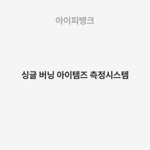 싱글 버닝 아이템즈 측정시스템