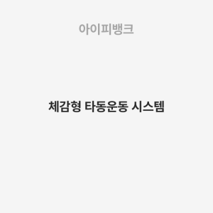 체감형 타동운동 시스템